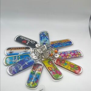 Colorful‎ Keychain Set for Florida lot